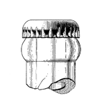 Crown Cork Seal Closure